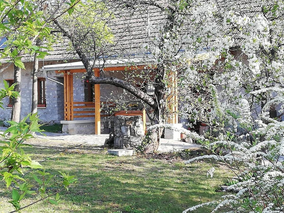 Апартаменты Karadi-Berger Vendeghaz Эрдёбенье Экстерьер фото